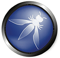 OWASP